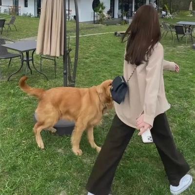 幽灵与未亡人